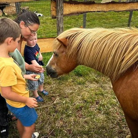 مكان تخييم Mobil Accueillant Animaux - 4 Pers. - Api-1-52-2646 *